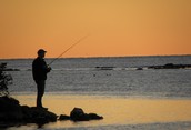 Fishing Silhouette